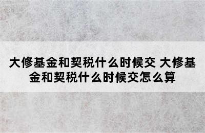 大修基金和契税什么时候交 大修基金和契税什么时候交怎么算